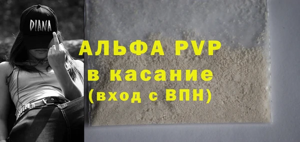 стафф Новозыбков