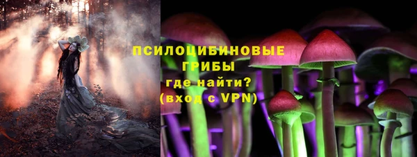 бошки Алексин