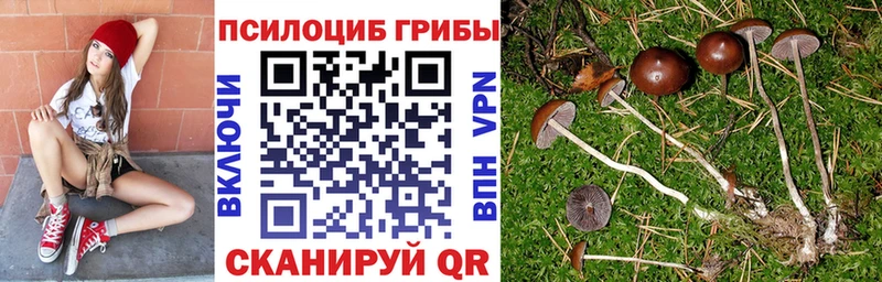 Галлюциногенные грибы прущие грибы Махачкала