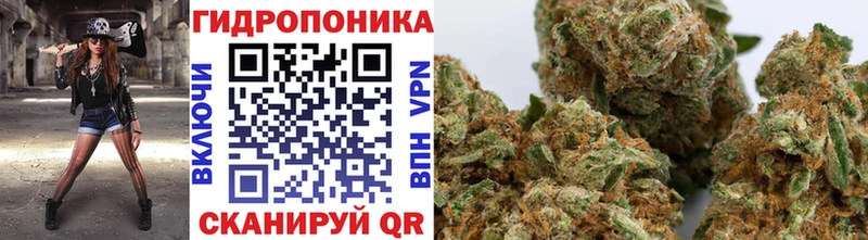 МАРИХУАНА VHQ Махачкала
